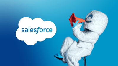Avoid These 15 Things When Implementing Salesforce CRM