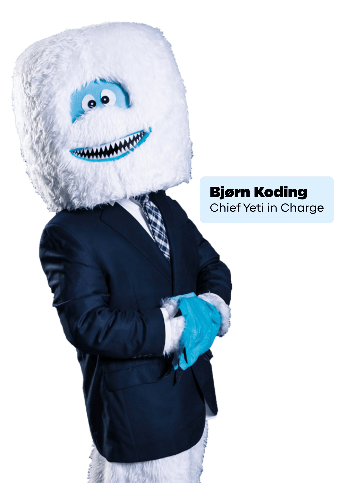 Bjorn-Koding-1