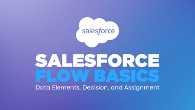 Salesforce Flow Basics Pt. 1: Data Elements, Decision, and Assignment
