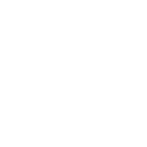 TexasIcon