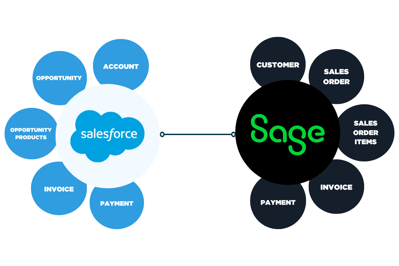 salesforce-sage-intacct